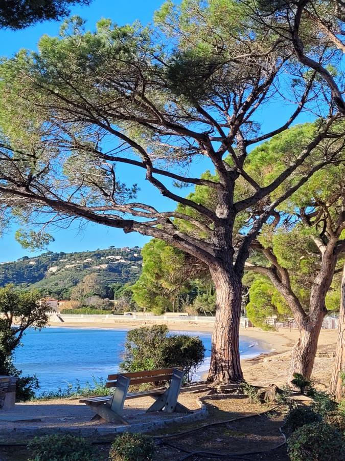Villa Palm' Issambres 6-7 Personnes, Clim, Avec Piscine, Jardin Et Parking Prives La Garonnette-Plage Luaran gambar