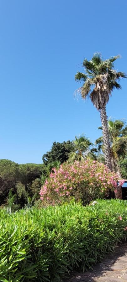 Villa Palm' Issambres 6-7 Personnes, Clim, Avec Piscine, Jardin Et Parking Prives La Garonnette-Plage Luaran gambar